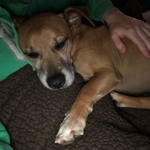 Meet your Posher, Stacey